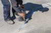 Photo for Brooklyn Sidewalk Repair and Installation Pros