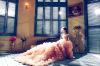 Photo for Gift Ideas For Bridal Shower