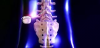 Photo for Spinal Cord Stimulation Devices Market – Major Industry Giants in Buzz Again by 2026