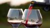 Photo for Wine Market Study By Taste, Style, Color & Top Key Players - Accolade Wines, Amvyx S.A., Bacardi Limited, Castel Group, Constellation Brands Inc.