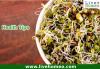 Photo for Health Tips In Homeo