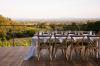 Photo for Notre Vue Estate Winery & Vineyards