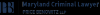 Photo for Maryland Criminal Defense Law Group    