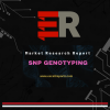 Photo for Global SNP Genotyping Market Key Country Analysis and Regional Forecast 2019-2025