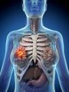 Photo for Breast Imaging Market Study By Type & Top Key Players - Hologic, Inc., General Electric Company, Siemens AG, Koninklijke Philips N.V., Fujifilm Holdings Corporation