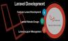 Photo for why usa laravel in web development?