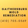 Photo for Gaithersburg Mold Remediation
