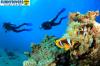 Photo for Diving Center Services Hurghada