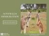 Photo for Excellent Australia PR visa Services Available Here