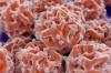 Photo for Histone Deacetylase Inhibitors Market Predicted to Grow at a Moderate Pace Through 2026