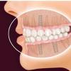Photo for Best Dentist in Ahmedabad - Book Appointment Now