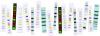 Photo for Global Molecular Weight Markers Market | Industry Outlook Research Report 2018-2025