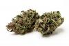 Photo for Does CBD Oil Work as a Pain Reliever?
