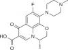 Photo for Levofloxacin Market Insights & Deep Analysis 2019-2026