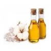 Photo for Hydrogenated Cottonseed Oil Market Projected to Garner Significant Revenues by 2026