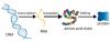 Photo for Gene Expression Market is Set to Experience Revolutionary Growth by 2026