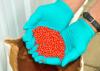 Photo for Insecticide Seed Treatment Market Growth & Estimation, 2025 | Adama Agricultural Solutions Ltd., BASF SE, Bayer Cropscience AG, E. I. Du Pont De Nemours and Company