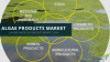 Photo for Algae Products Market 2024 Size & Algae Products Market Forecast