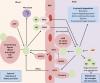 Photo for cd45 depletion