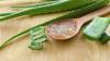 Photo for Aloe Vera Juice Market New Era of Industry & Forecast 2019-2026