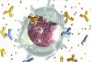 Photo for Biologics Market Size, Share, Outlook, Analysis, and Forecast 2018-2026