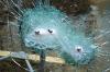 Photo for Bulletproof Glass Market Report | Industry Size and Leading Key Players - American Glass Products, Asahi Glass Co., Ltd., China Specialty Glass AG, Consolidated Glass Holdings, Inc.