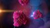 Photo for Cell Lysis Market – Size, Share, Outlook, and Opportunity Analysis 2017 - 2025