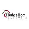 Photo for Hedgehog Electric
