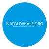 Photo for Na Pali Whale