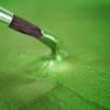 Photo for Global Green Paint Market Growth Opportunities, Industry Analysis, Geographic Segmentation and Competitive Landscape Report to 2024