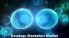 Photo for Oncology Biosimilars Market – Size, Share, Outlook, and Opportunity Analysis 2018 - 2026