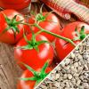 Photo for Tomato Seeds Market Report From 2018 To 2025 - Advanta, Bayer CropScience, East-West Seeds, Limagrain, Monsanto, Rijk Zwaan