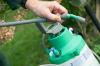 Photo for Ant Control In Yard