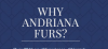Photo for Andriana Furs