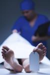 Photo for Private Autopsy Company