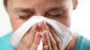 Photo for Allergic Rhinitis Drugs Market: Development History, Current Analysis