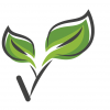Photo for Multivitamin for kids