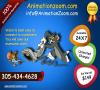 Photo for Video animation service