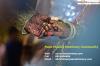 Photo for No.1 Community Matrimony Site For Pune Muslim Bride/Groom