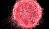 Photo for India Immune-Oncology Drugs Market at a Rapid Pace Until 2026