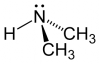 Photo for Dimethylamine Market Till 2025 Major Key Players are - Alkyl Amines Chemicals, Balaji Amines, BASF, Celanese