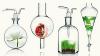 Photo for Organic Binders Market Study By Product Type, Application & Top Key Players - ENDURA IPNR, Keramicalia, OILEX GmbH