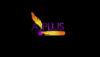 Photo for A Plus Mobile Notary Services, LLC