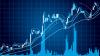 Photo for How much you can earn by using forex signals software