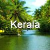 Photo for Munnar honeymoon packages