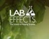 Photo for Lab Effects