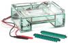 Photo for Electrophoresis Market - Trends, Share, Outlook, and Opportunity Analysis, 2018 – 2026