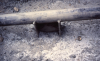 Photo for Industrial Pipe Insulation