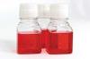 Photo for Cell Culture Media for Vaccine Market Overview, SWOT Analysis And 2025 Forecast