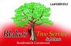 Photo for Blake's Tree Service & More